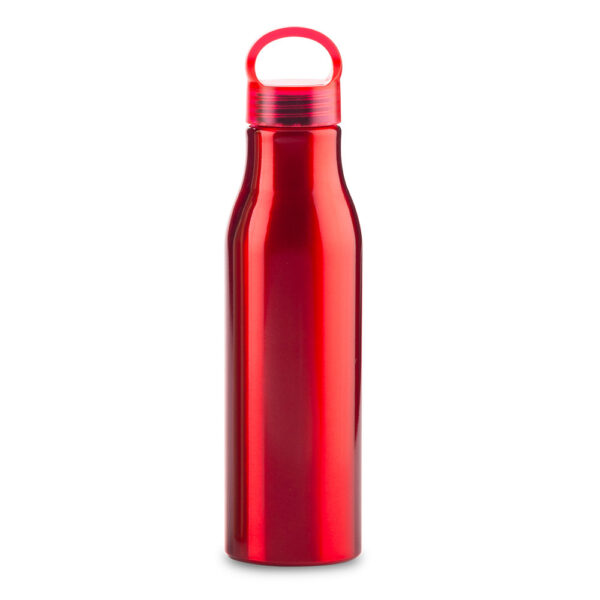 Botilito Metalico Barry 600ml MU-236 - Imagen 6