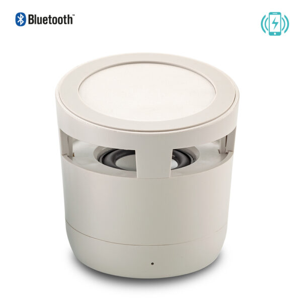 Speaker Bluetooth Wyn 2-1 TE-550 - Imagen 3