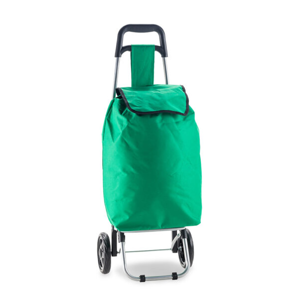 Carrito para Mercado Market VA-650 - Imagen 6