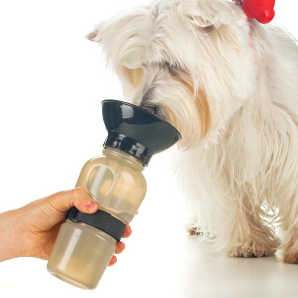 Botilito para Mascotas 580ml VA-816 - Imagen 4